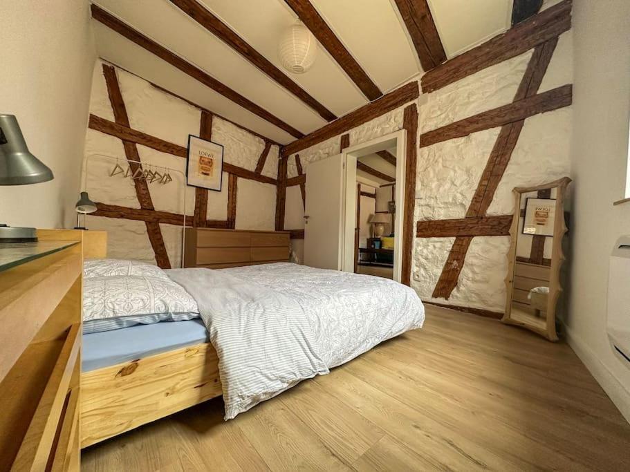 Nouvel Appartement, Le Colombage Heureux Sélestat Zewnętrze zdjęcie
