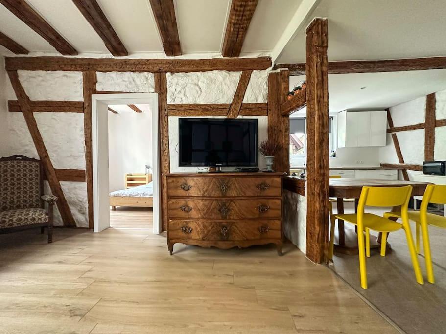 Nouvel Appartement, Le Colombage Heureux Sélestat Zewnętrze zdjęcie