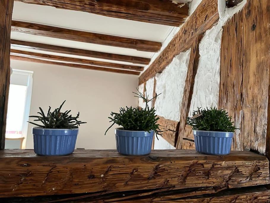 Nouvel Appartement, Le Colombage Heureux Sélestat Zewnętrze zdjęcie
