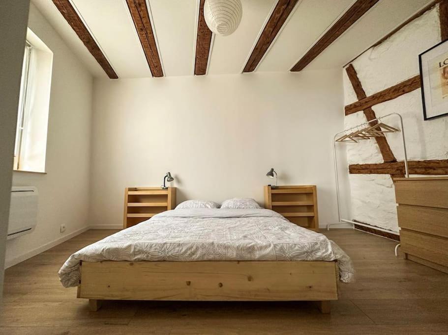 Nouvel Appartement, Le Colombage Heureux Sélestat Zewnętrze zdjęcie
