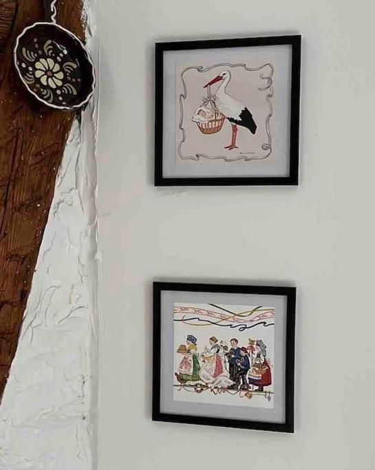 Nouvel Appartement, Le Colombage Heureux Sélestat Zewnętrze zdjęcie