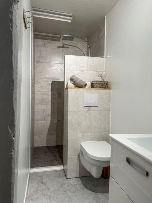 Nouvel Appartement, Le Colombage Heureux Sélestat Zewnętrze zdjęcie