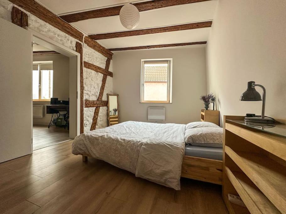 Nouvel Appartement, Le Colombage Heureux Sélestat Zewnętrze zdjęcie