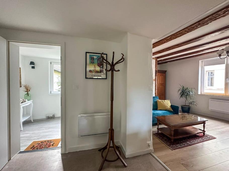 Nouvel Appartement, Le Colombage Heureux Sélestat Zewnętrze zdjęcie